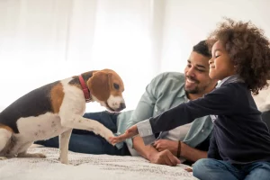 Helping children understand pet euthanasia
